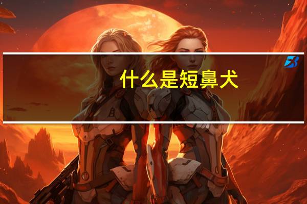 什么是短鼻犬