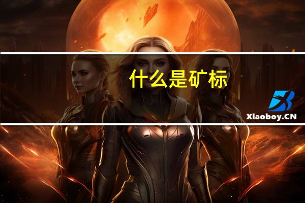 什么是矿标