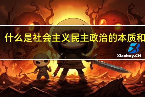 什么是社会主义民主政治的本质和核心
