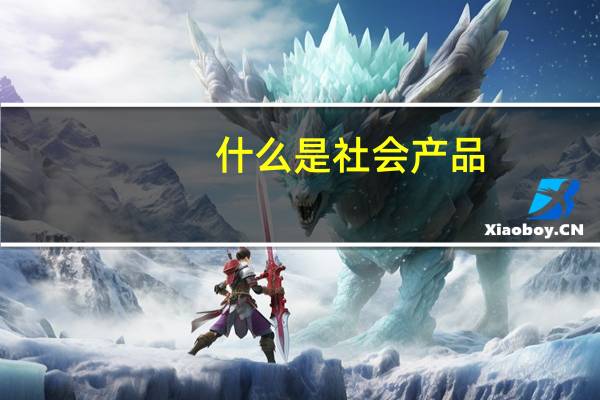 什么是社会产品