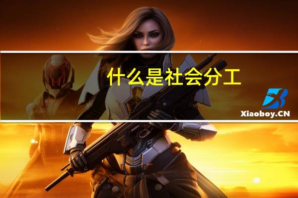 什么是社会分工