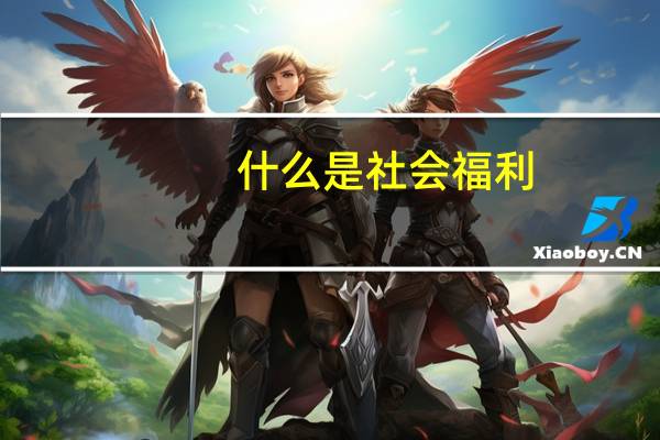什么是社会福利