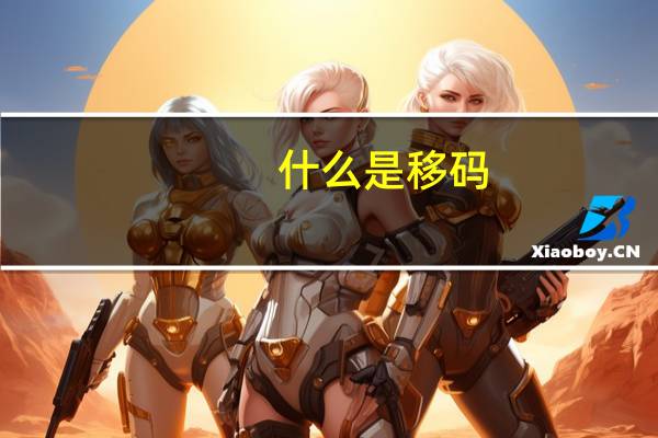 什么是移码