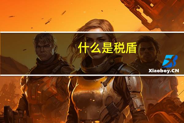 什么是税盾