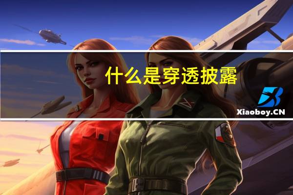什么是穿透披露