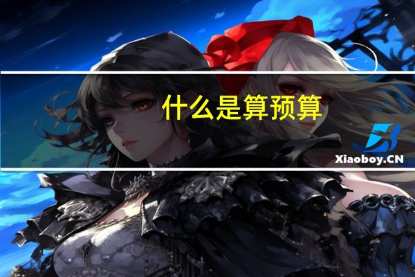 什么是算预算