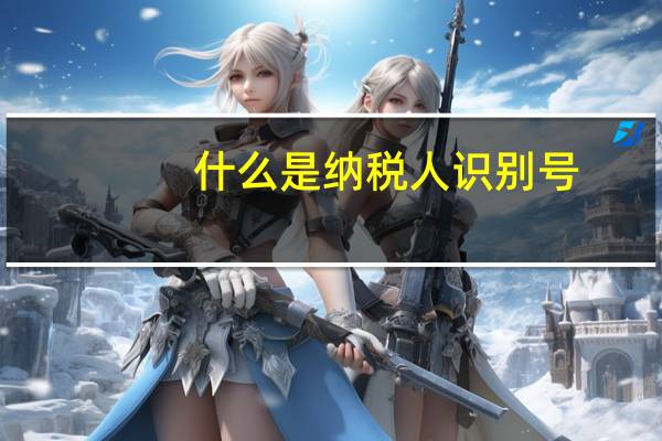 什么是纳税人识别号