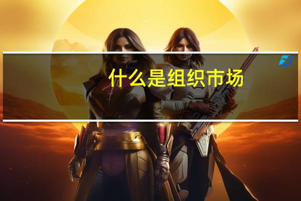 什么是组织市场