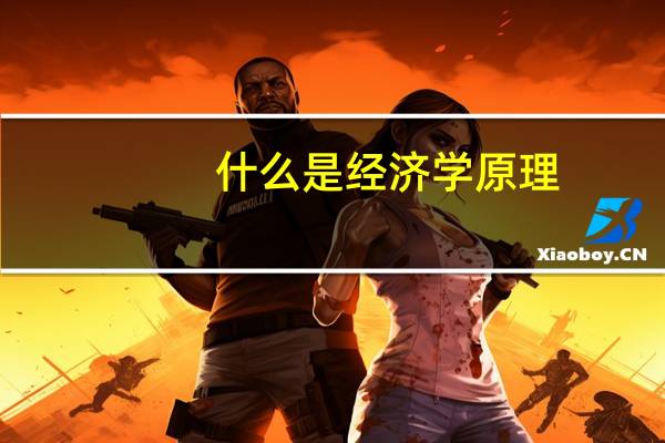 什么是经济学原理