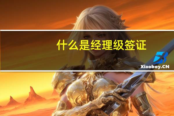 什么是经理级签证(经理级别)