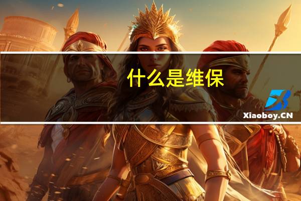 什么是维保