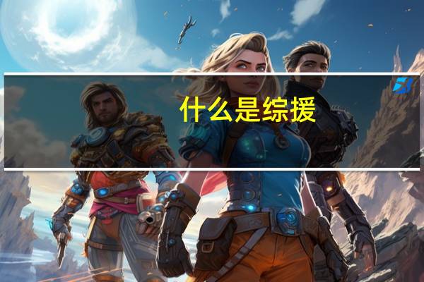 什么是综援