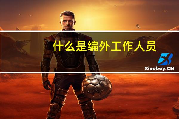 什么是编外工作人员
