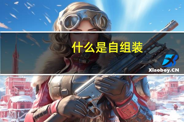 什么是自组装