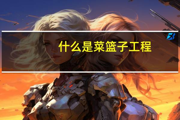 什么是菜篮子工程