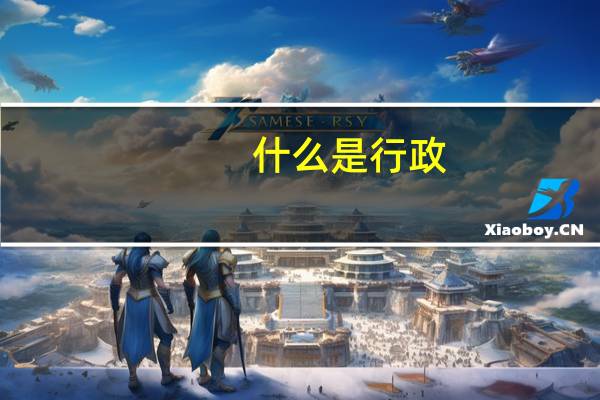 什么是行政?