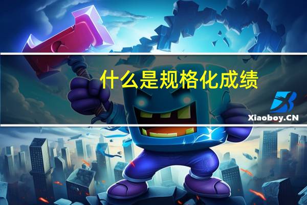 什么是规格化成绩
