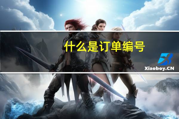 什么是订单编号
