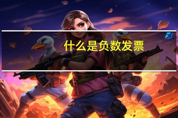 什么是负数发票