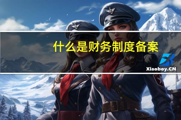 什么是财务制度备案