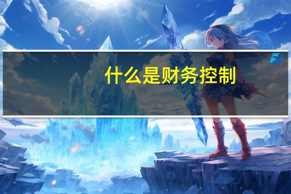 什么是财务控制
