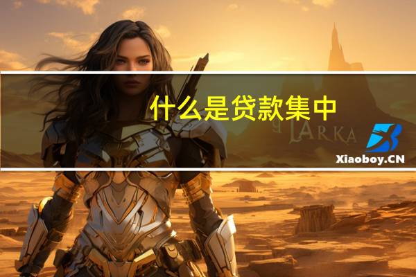 什么是贷款集中