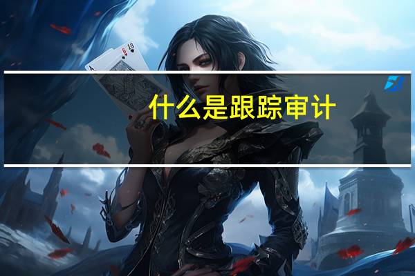 什么是跟踪审计