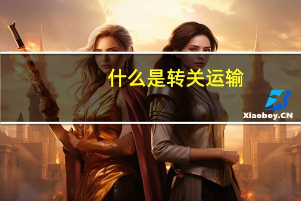 什么是转关运输