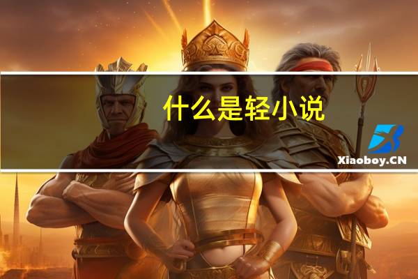 什么是轻小说
