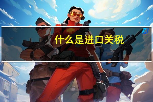 什么是进口关税
