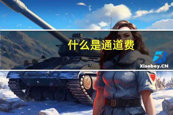 什么是通道费