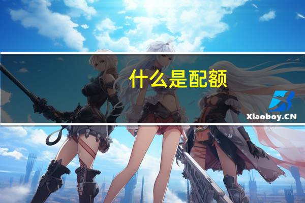 什么是配额