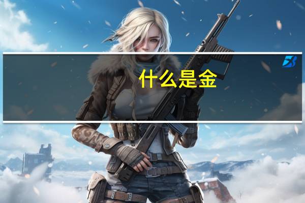什么是金