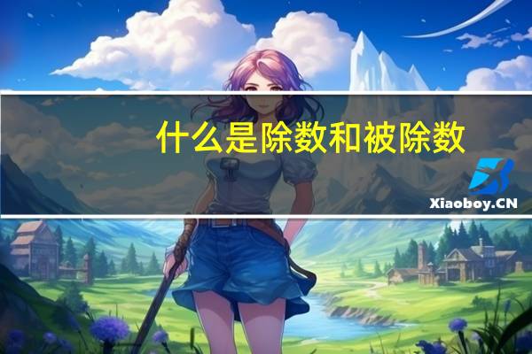 什么是除数和被除数