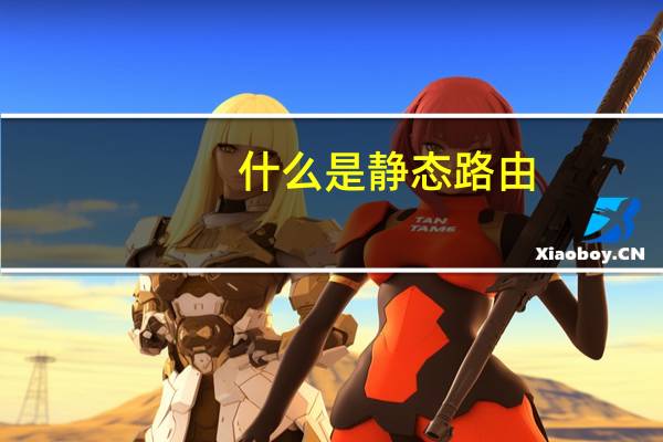 什么是静态路由