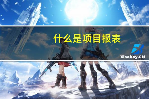 什么是项目报表