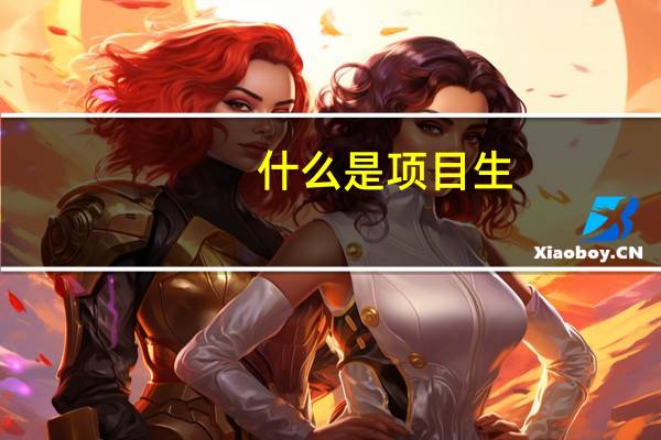 什么是项目生
