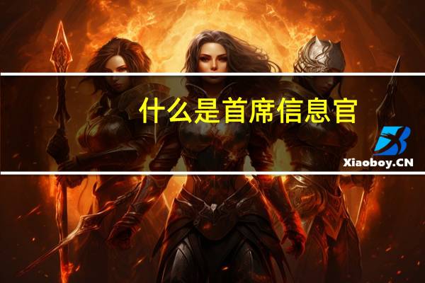 什么是首席信息官