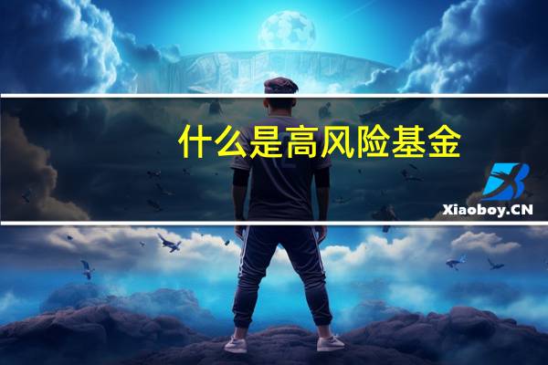 什么是高风险基金