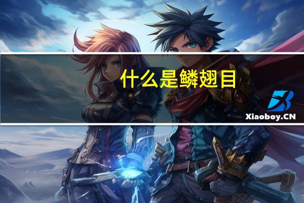 什么是鳞翅目