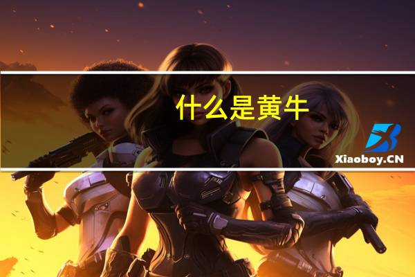 什么是黄牛