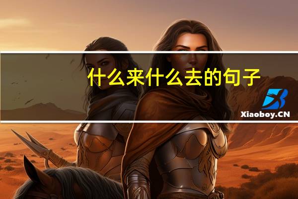 什么来什么去的句子