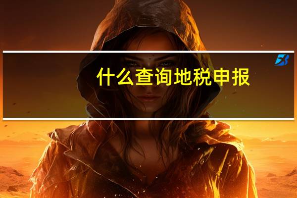 什么查询地税申报
