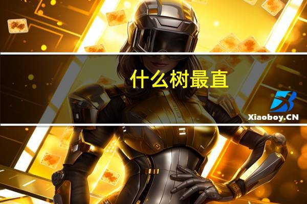 什么树最直