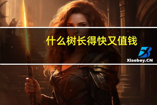 什么树长得快又值钱
