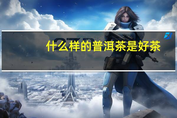 什么样的普洱茶是好茶