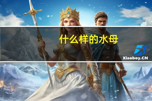 什么样的水母