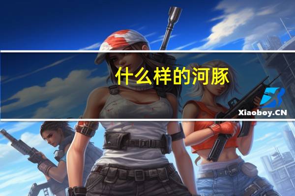 什么样的河豚