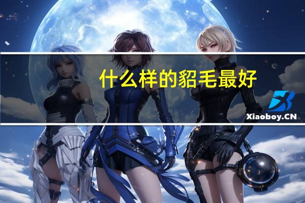 什么样的貂毛最好