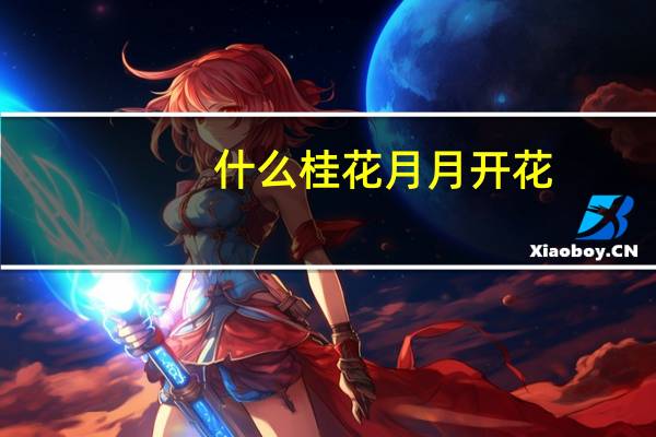 什么桂花月月开花